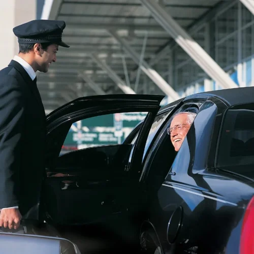 driver holding door while man sitting in car